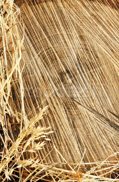 Detail of wooden cut texture and dry grass hay - frame Stock photo © brozova