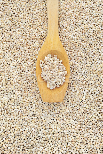 Wooden spoon and dried pearled barley
 Stock photo © brozova