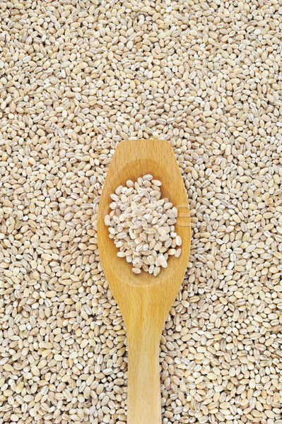 Wooden spoon and dried pearled barley Stock photo © brozova