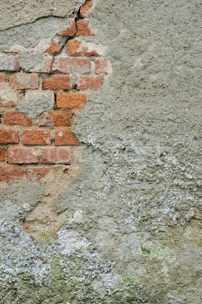 Old wall -  background Stock photo © brozova