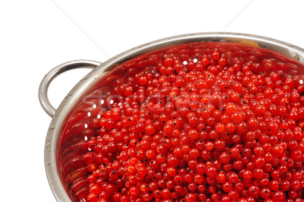 Fresh red currant berries with water drops in colander - isolated Stock photo © brozova