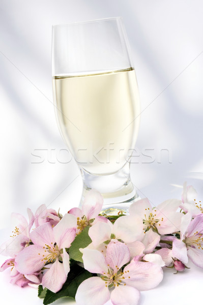 Cider appel bloesems bloem vruchten bomen Stockfoto © brozova