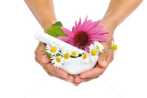 Stock photo: Young  woman holding mortar with herbs 