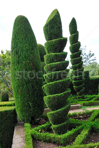 Stock photo: Decorative green park 