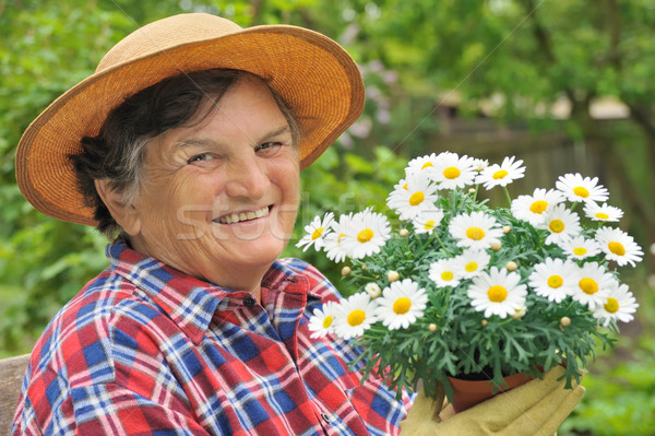 Senior Frau Gartenarbeit Hände Frühling Gesicht Stock foto © brozova