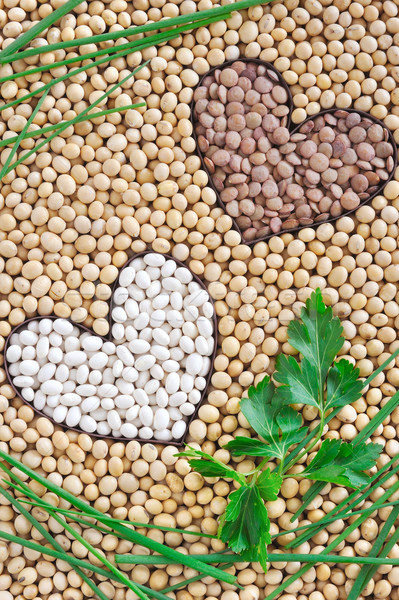 Lentils, soybeans, beans with herbs - pulse concept Stock photo © brozova