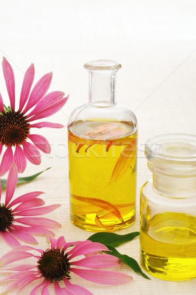 Coneflower essential  oil in bottle - stillife Stock photo © brozova