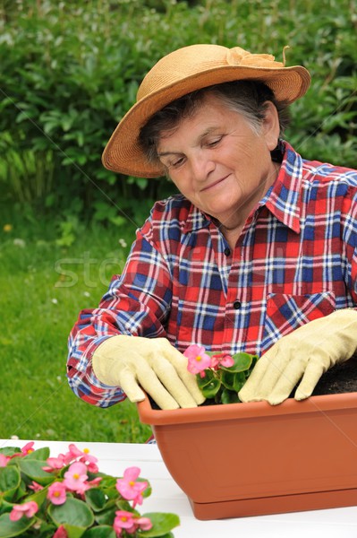 Altos mujer jardinería flores mano naturaleza Foto stock © brozova