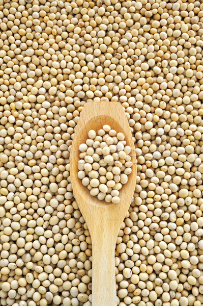 Wooden spoon and dried soybeans Stock photo © brozova