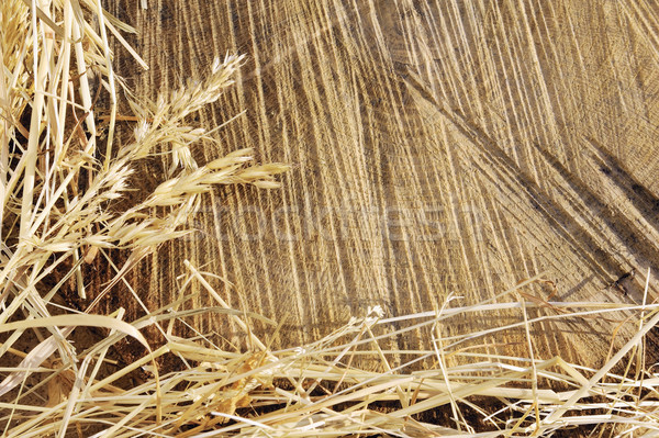 Detail of wooden cut texture and dry grass hay - frame Stock photo © brozova