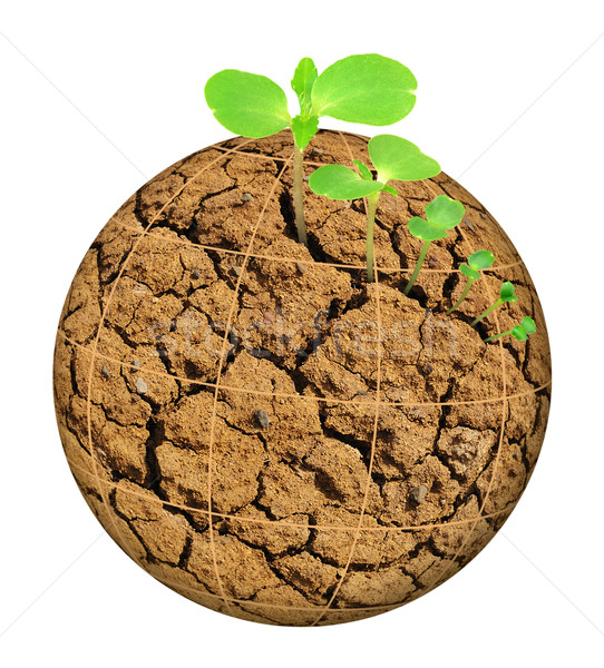 Plant growing out of parched planet, evolution concept, isolated Stock photo © brozova