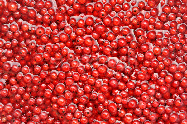 Fresh red currant berries in water - background Stock photo © brozova