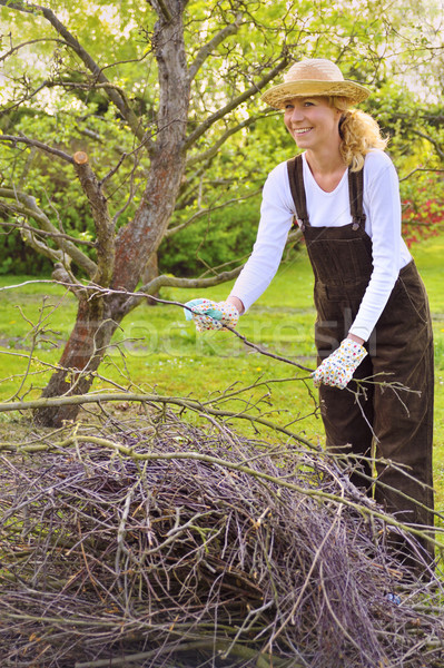 Jonge vrouw schoonmaken boom ledematen vrouw voorjaar Stockfoto © brozova