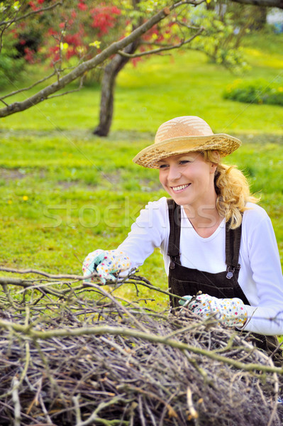 Jeune femme nettoyage arbre femme fille Photo stock © brozova