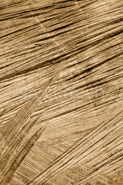 Detail of wooden cut texture - rings and saw cuts - oak - background Stock photo © brozova