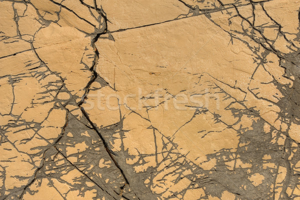 Detail of limestone surface, Vrboska, north of Croatia Stock photo © brozova