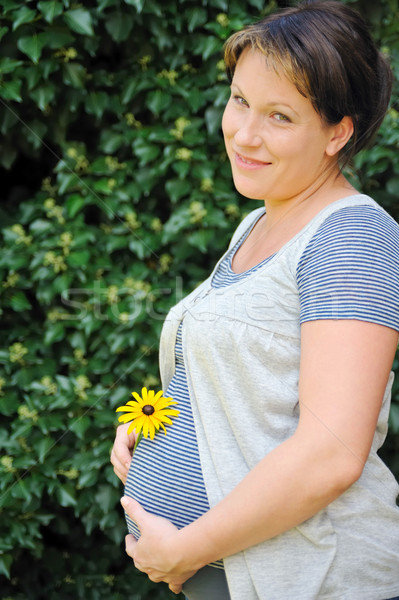 Mulher grávida barriga flor amarela família folha Foto stock © brozova