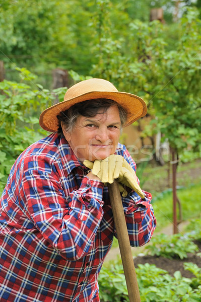 Senior Frau Gartenarbeit Frühling glücklich Garten Stock foto © brozova