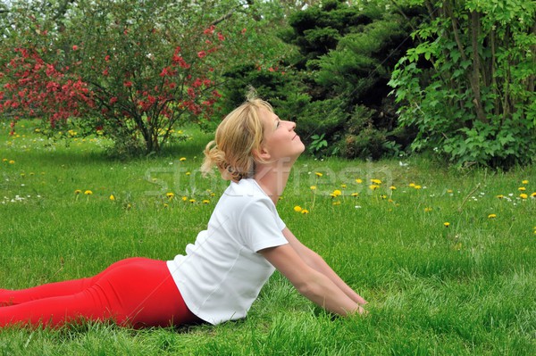 Młoda kobieta jogi trawy sportu charakter fitness Zdjęcia stock © brozova