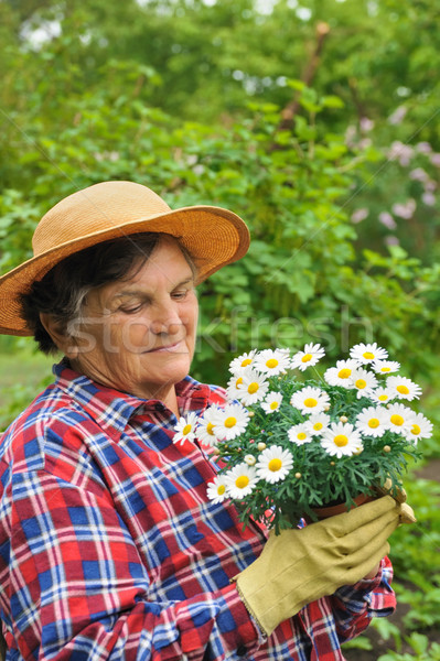 Senior Frau Gartenarbeit Hände Frühling Gesicht Stock foto © brozova