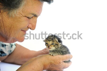 Altos mujer gatito mano bebé Foto stock © brozova