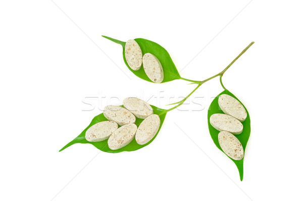 Natural supplement pills and fresh leaves – alternative medicine concept Stock photo © brozova