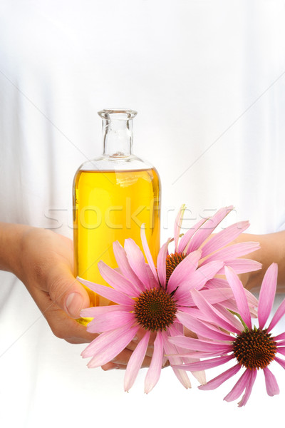 Hands of young woman holding essential oil and fresh coneflowers Stock photo © brozova