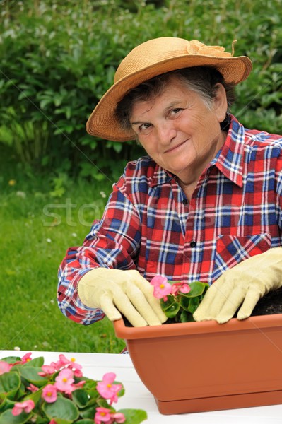 Foto stock: Senior · mulher · jardinagem · flores · mão · natureza