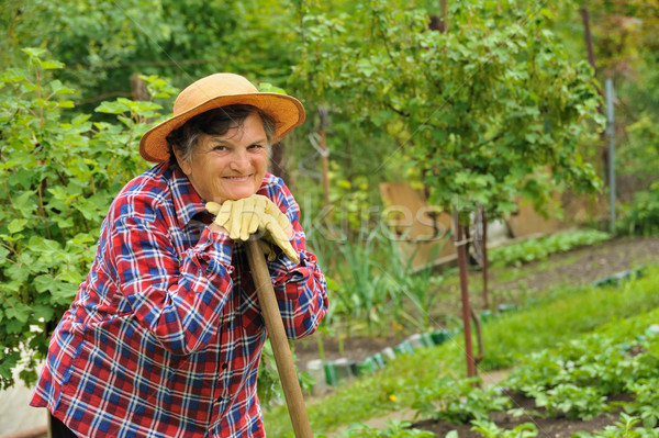 Senior Frau Gartenarbeit Frühling glücklich Garten Stock foto © brozova