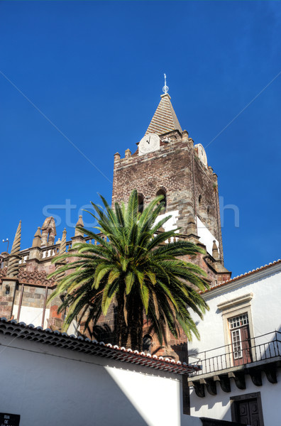 Kerk madeira Portugal boom klok ontwerp Stockfoto © brozova