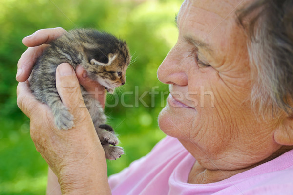 Altos mujer pequeño gatito mano Foto stock © brozova