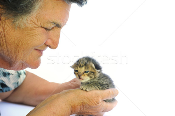 Stok fotoğraf: Kıdemli · kadın · kedi · yavrusu · el · bebek