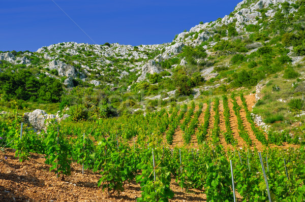 Südlich Küste Kroatien Insel Westen Himmel Stock foto © brozova