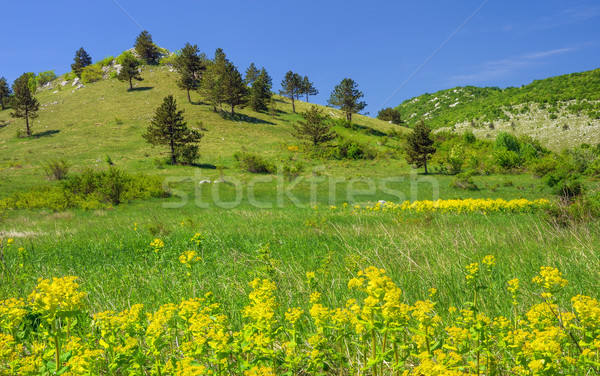 Mountain landscape in Lika , Croatia Stock photo © brozova