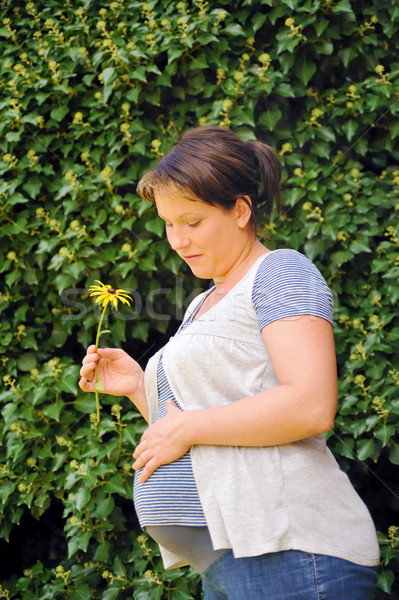 Mulher grávida barriga flor amarela mulher natureza Foto stock © brozova