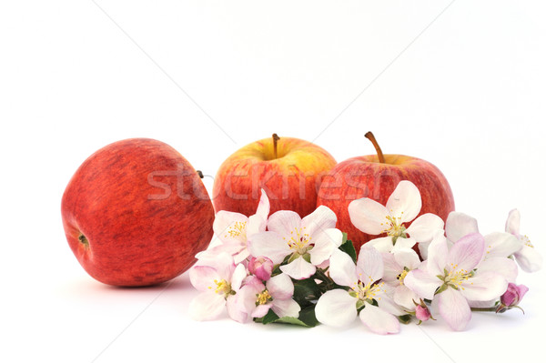 Ваза с фруктами ветками и цветами