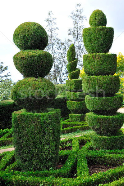 Decorative green park  Stock photo © brozova