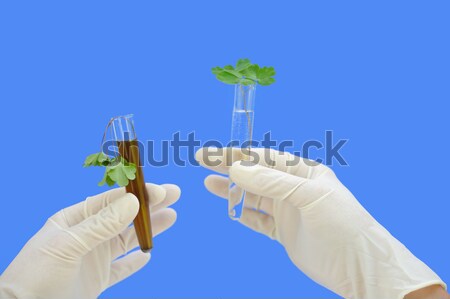 Mão test tube mulher água médico Foto stock © brozova