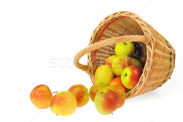 Fresh apples spilling out of basket - isolated on white background. Clipping path included. Stock photo © brozova