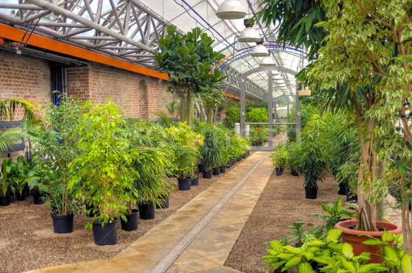 Flowers in modern greenhouse Stock photo © brozova
