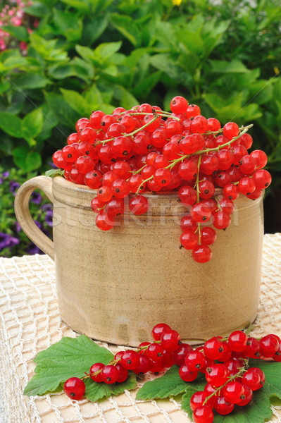 Stock photo: Ceramic cup full of fresh red currant berries