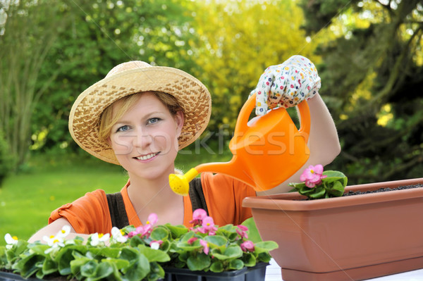 Young woman watering flowers Stock photo © brozova