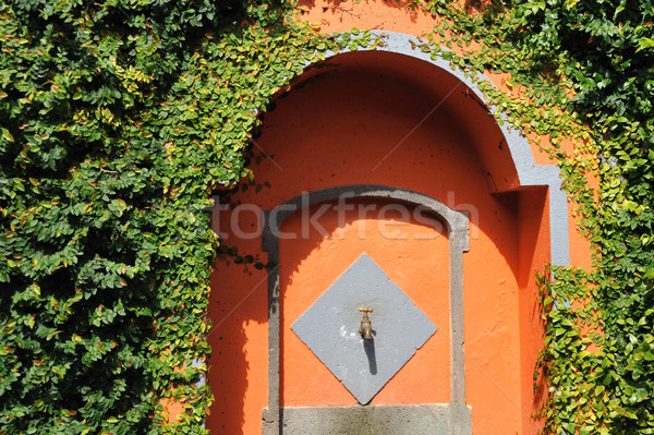 Ancient sink surrounded by green creeper - Madeira  Stock photo © brozova