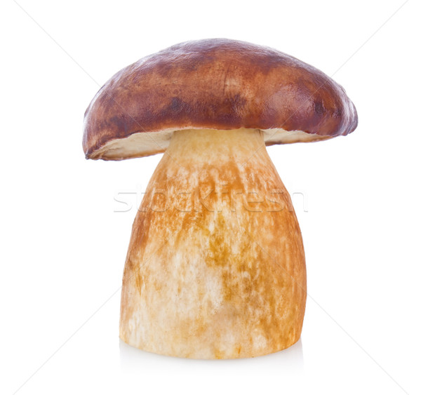 Boletos isolado branco fundo cogumelo refeição Foto stock © brulove