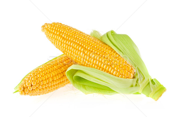 Fresh ripe sweetcorn with green leaves. Stock photo © brulove