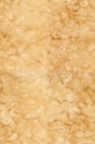 texture wool Stock photo © brulove