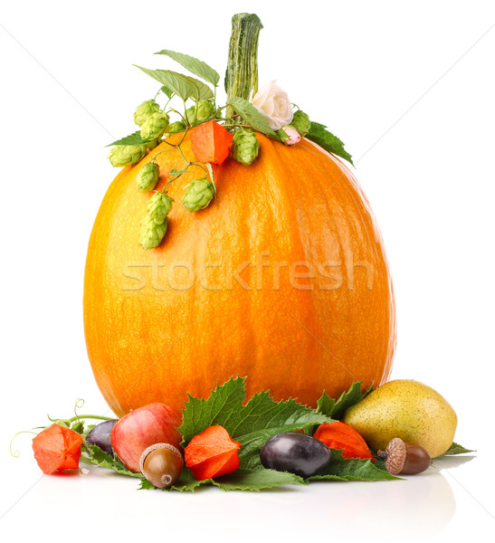 pumpkin with fruits and flower Stock photo © brulove
