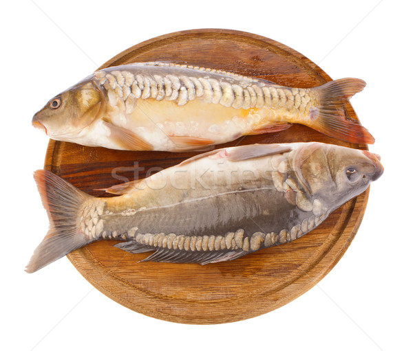 Frischen Fisch Karpfen Holzbrett isoliert weiß Stock foto © brulove