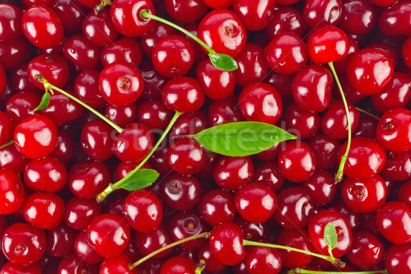 Background of juicy cherries Stock photo © brulove