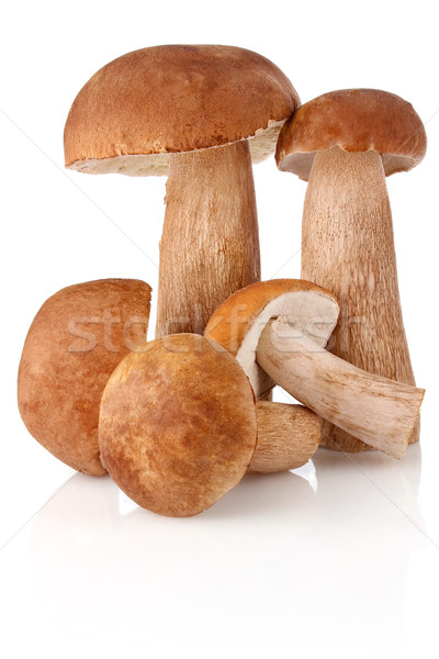 пять гриб изолированный белый фрукты объект Сток-фото © brulove
